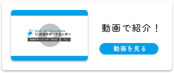 動画で紹介！